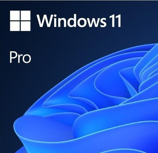 Windows 10 pro / professional key cheap